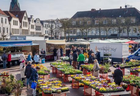 Viele Verkaufsstände auf dem Wochenmarkt auf dem Lingener Marktplatz und Menschen, die den Wochenmarkt besuchen; im Hintergrund Häuser; blauer Himmel Viele Verkaufsstände auf dem Wochenmarkt auf dem Lingener Marktplatz und Menschen, die den Wochenmarkt besuchen; im Hintergrund Häuser; blauer Himmel